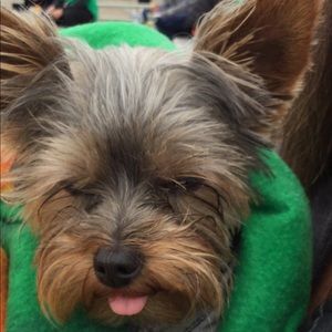 Meet your Posher, Brycelyn